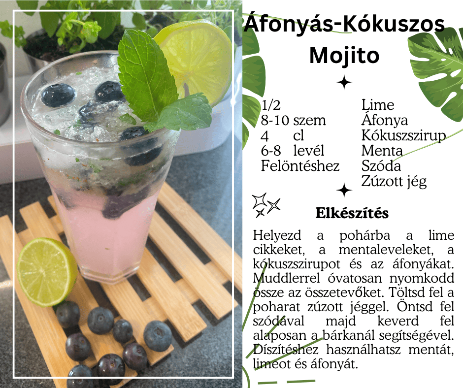 01_Áfonyás-Kókuszos Mojito1.png